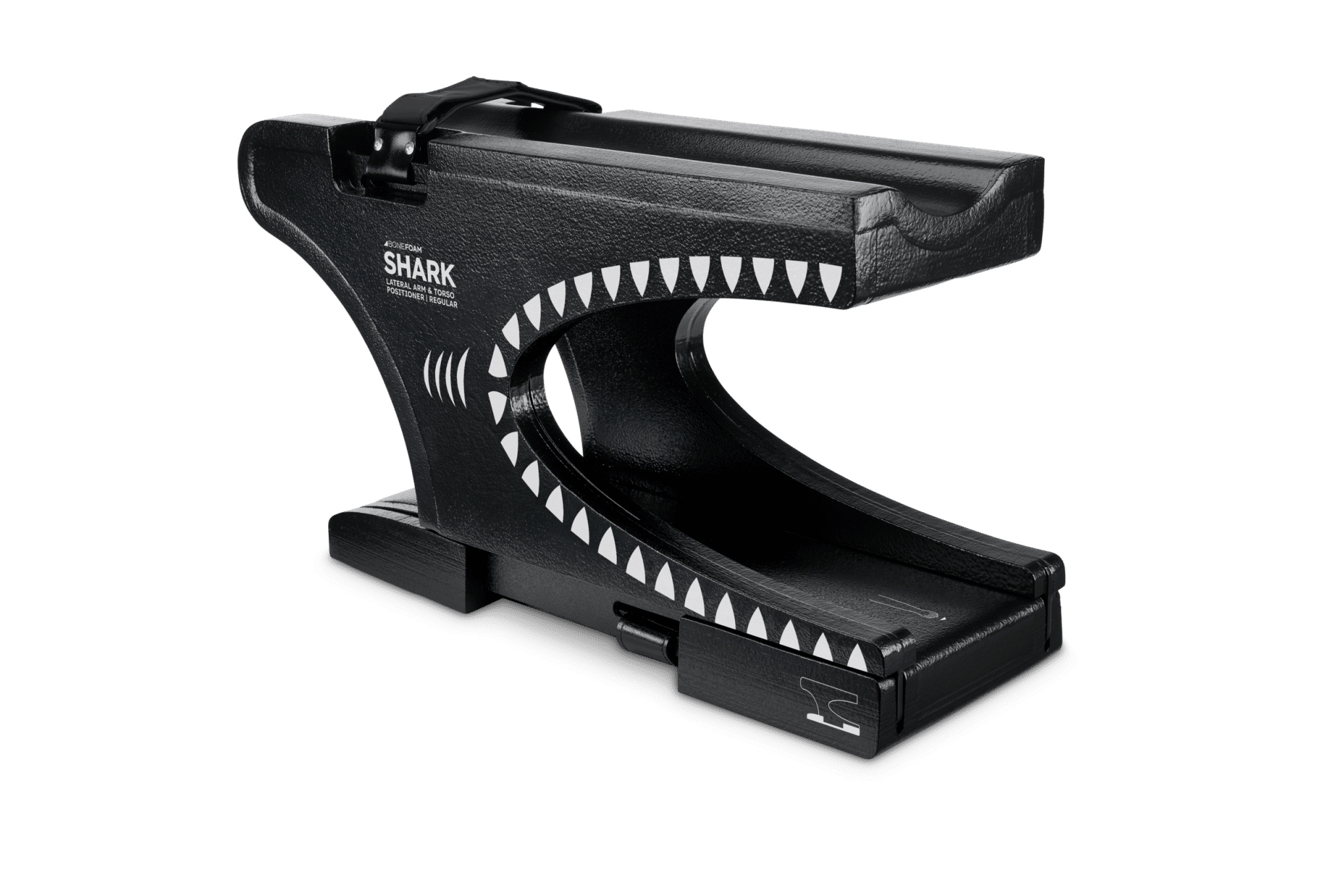 Shark-Regular_925.SHARK-WS_Angle_2493_RGB_transparent_bg